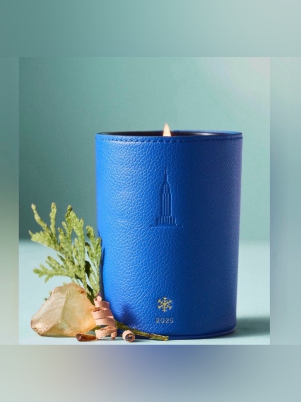 Anthropologie NYC Icon Embossed Woody Crisp Cedar Glass Candle NWT